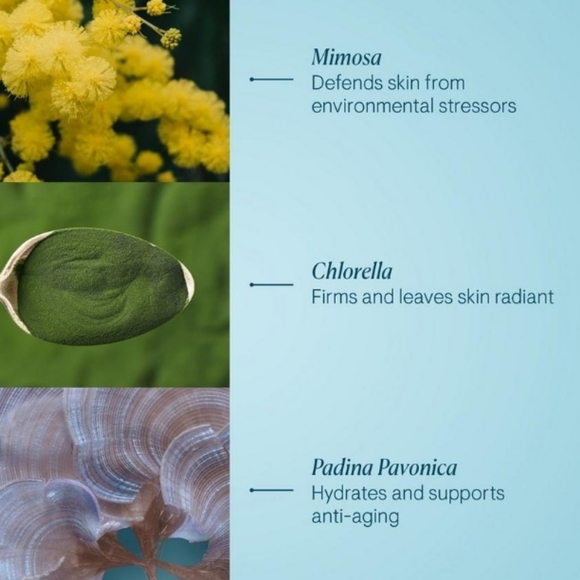 🆕️Elemis Pro-Collagen Marine Face Cream - Picture 3 of 6